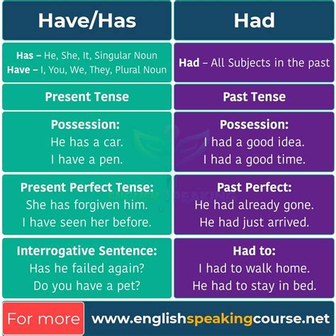 Have Has Had Basic English Grammar - Grammar