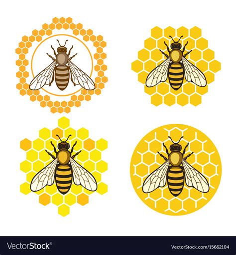 Honey bee set Royalty Free Vector Image - VectorStock