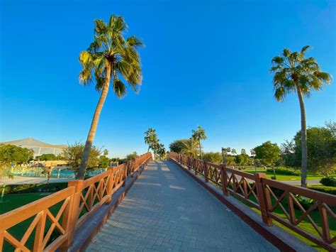 Everything you need to know about Al Khor Family Park in Qatar | Qatar Living