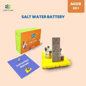 Salt Water Battery (Pack of 5) - Make And Learn