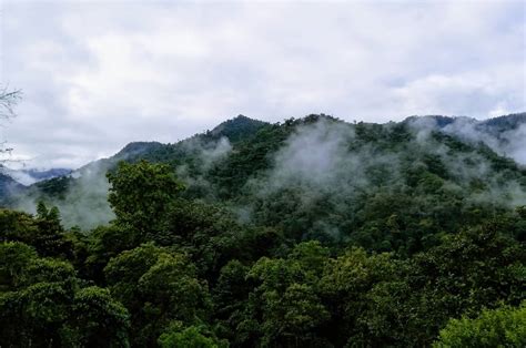 Daily Tour – Bosque Nublado | Eva Tours Ecuador