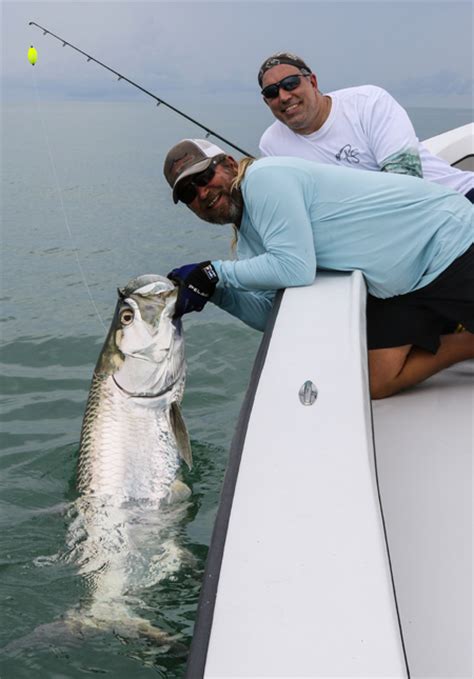 Fort Myers Tarpon fishing report June 6, 2017 - Fort Myers Tarpon ...