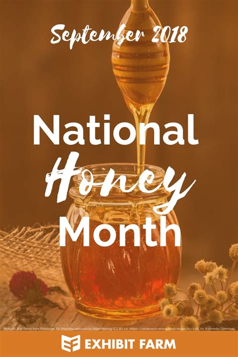 Food Holidays: September Is National Honey Month | The Single Dad's Guide to Life