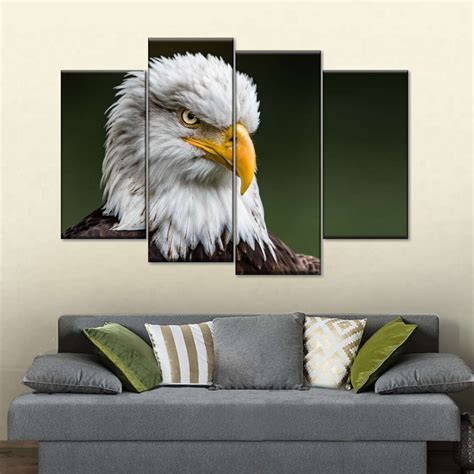 Bald Eagle Stare Wall Art | Photography