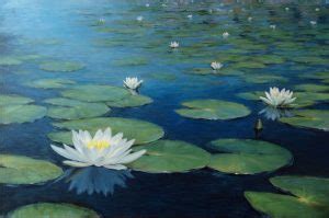 Water Lilies – John Philip