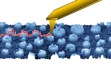 Atomic Force Microscope (AFM) / Contac Mode : Hitachi High-Tech Corporation