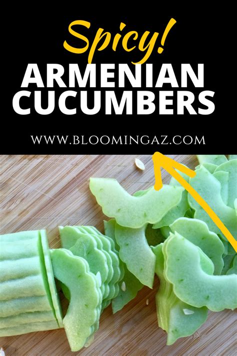 Spicy Armenian Cucumber Salad – Blooming Ranch