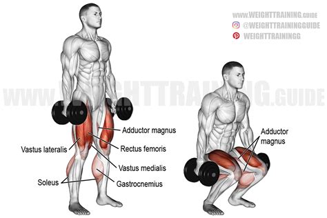 Dumbbell squat exercise instructions and video | Weight Training Guide