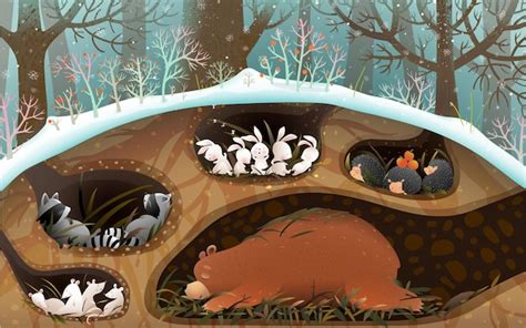 Premium Vector | Forest animals sleeping in den and holes under trees in winter or spring art ...