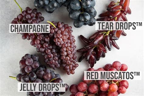 A Visual Guide to Grape Varieties – Real Food, Mostly Plants