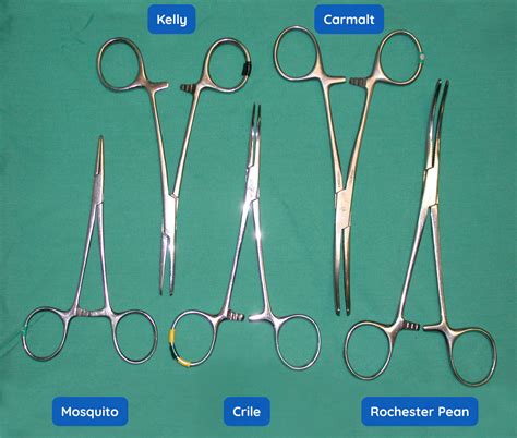 Crile Forceps Vs Kelly Forceps