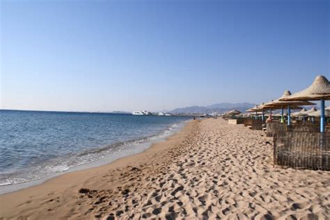 THE BEST Safaga Beach Resorts 2023 (with Prices) - Tripadvisor