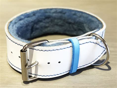 White Leather Dog Collar Padded with Ultra Soft Light Blue Sheepskin, Silver Plated Hardware ...