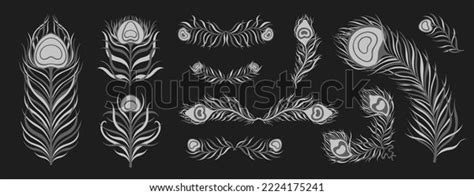 Peacock Feather Vintage Style Set Art Stock Vector (Royalty Free) 2224175241 | Shutterstock