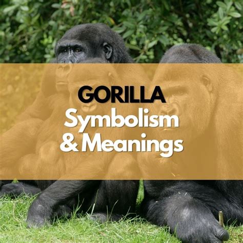 Gorilla: Symbolism, Meanings, and History - Symbol Genie