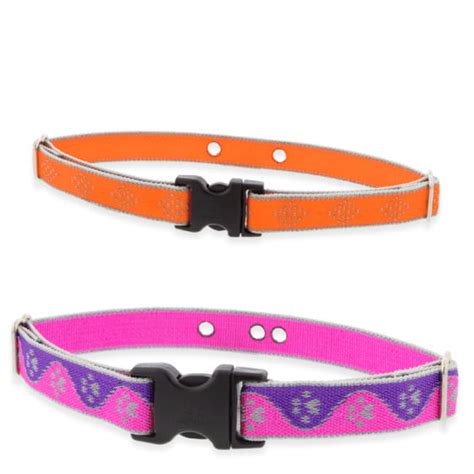 Underground Dog Fence Collars|Replace or Upgrade