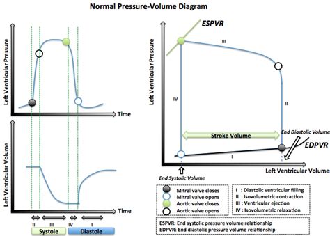 Pressure volume diagram - wikidoc