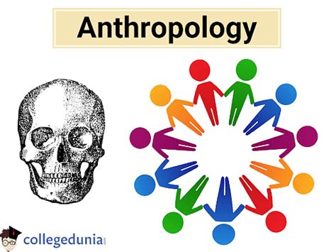 Anthropology: Definition, Branches & Applications