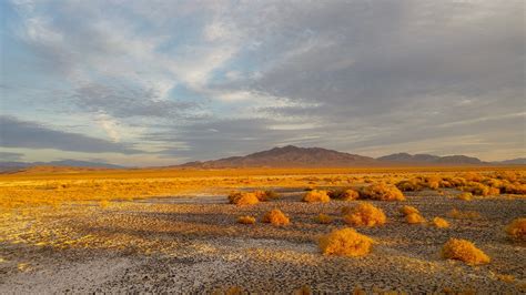 Tecopa Water Project - Amargosa Conservancy