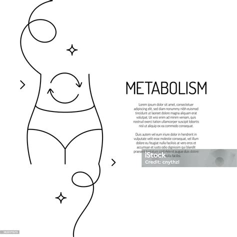 Continuous Line Drawing Of Metabolism Icon Hand Drawn Symbol Vector Illustration Stock ...