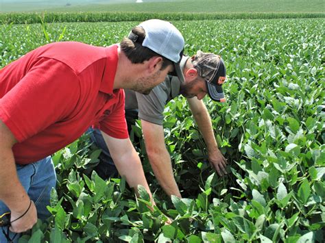 Farmer researchers reap more benefits than just increased crop ...