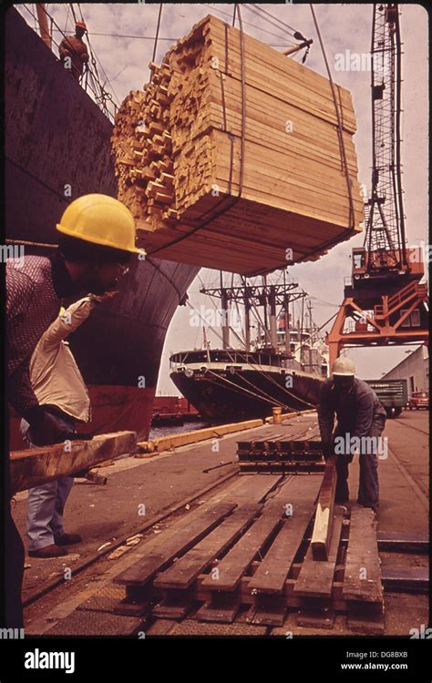 DOCK WORKERS UNLOAD SHIP AT DUNDALK MARINE TERMINAL 546917 Stock Photo ...