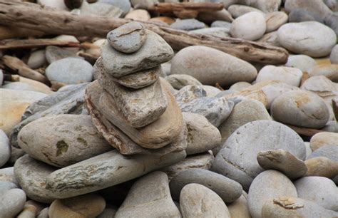 Free Images : coast, nature, sand, rock, wood, collection, holiday, stone wall, material, stones ...