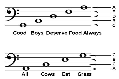 Bass Clef General Overview - Phamox Music