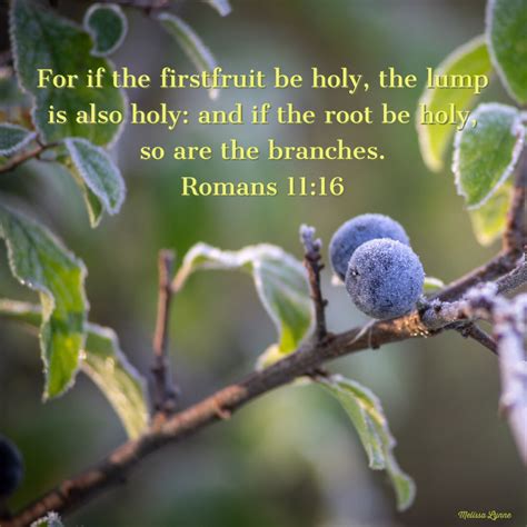 If the Root be Holy, So are the Branches – If anyone knows Melissa…