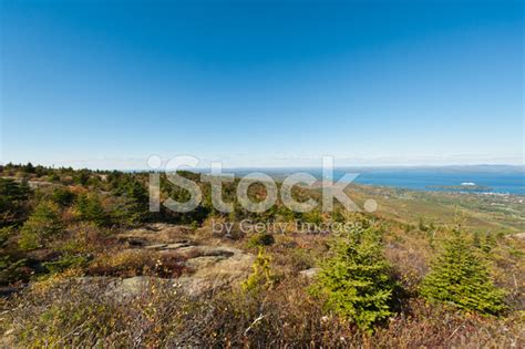 Cadillac Mountain, Acadia National Park Stock Photo | Royalty-Free | FreeImages