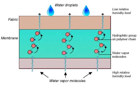 Waterproof Breathable Fabrics - Types, Features, Applications & Trends