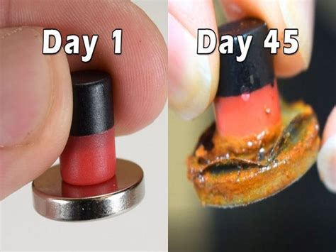 7 Corrosion Examples in Everyday Life – StudiousGuy