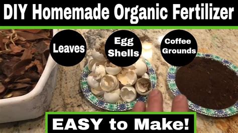 Easy DIY Homemade Organic Garden Fertilizer! | Plant fertilizer diy, Fertilizer for plants, Diy ...