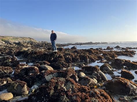 The Great Tide Pool | Monterey - Utah's Adventure Family