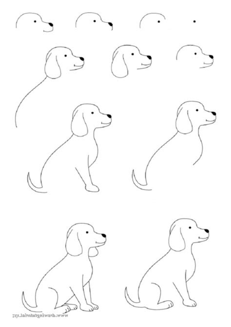 How To Draw Easy Animals - photofun4ucom