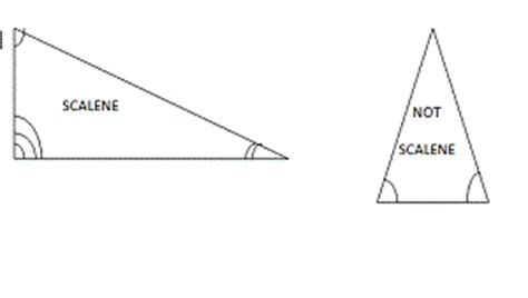 Scalene Triangle | Definition, Types & Examples - Lesson | Study.com