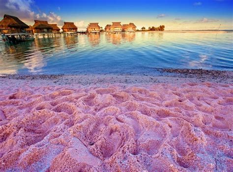 Pink Sand Resort, Bahamas | Pink sand beach bahamas, Colored sand ...