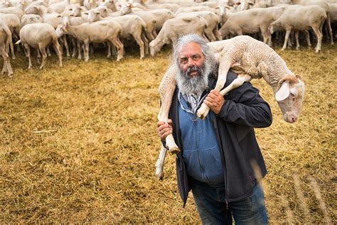 Sheep farmer, Nunzio, in Italy - We Said Go Travel