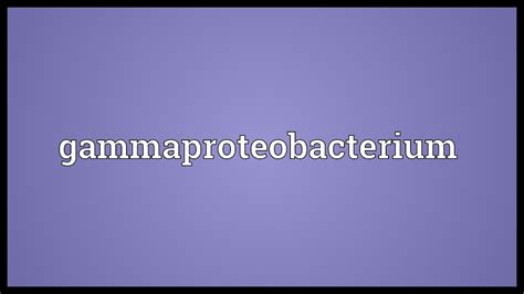 Gammaproteobacterium Meaning - YouTube