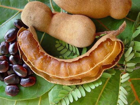 LESS KNOWN THINGS .BLOGSPOT.COM: Traditional tamarind pickle