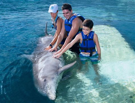 Dolphin discovery cancun, Dolphin Discovery Isla Mujeres