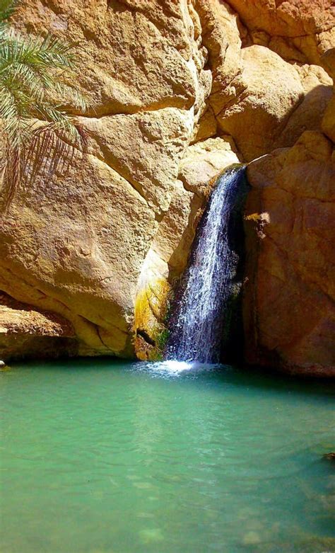 Waterfall into Oasis stock image. Image of water, waterfall - 11044371