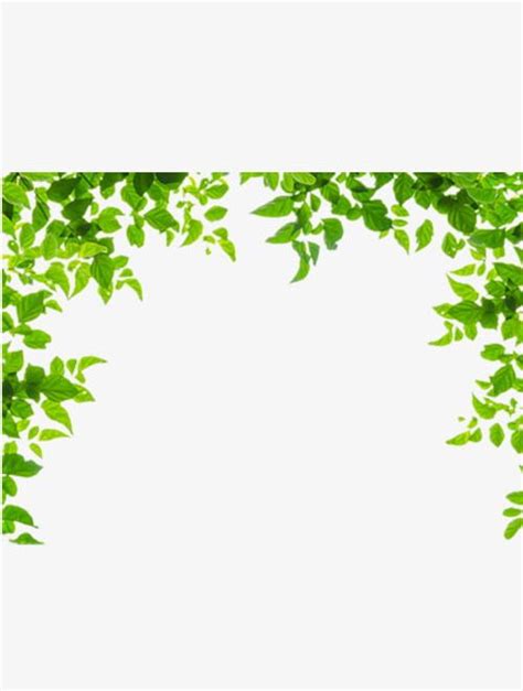 Green Leaves Border PNG, Clipart, Border, Border Clipart, Green, Green ...