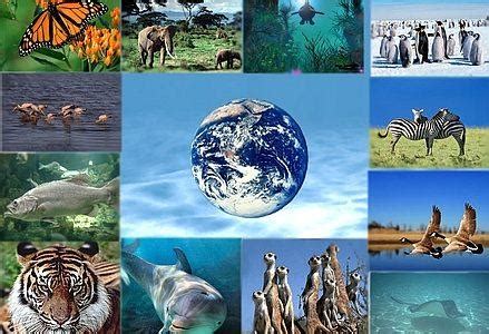 SCIENZAinATTO/ Biodiversità. Radici antiche per nuove frontiere