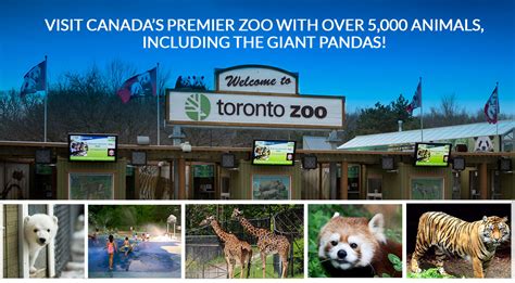 Toronto Zoo | Niagara Falls Tour From Toronto