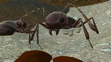 Ant Simulator 3D Full -Life of Ants- Android / iOS - Gameplay - YouTube