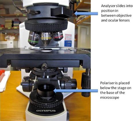 What You Ought To Know About Polarising Light Microscopy - Bitesize Bio