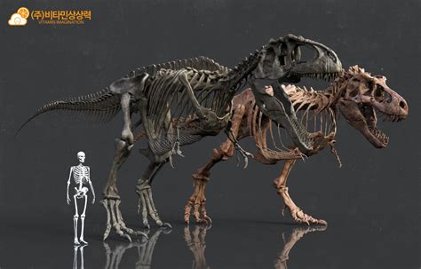 Giganotosaurus and Tyrannosaurus : r/Naturewasmetal