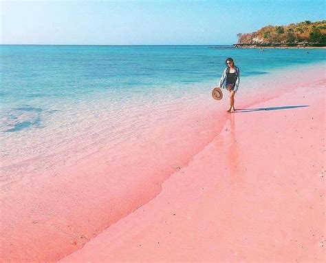 √ 7 Spot Pink Beach Lombok dan 6 Aktivitasnya | √ TERMURAH, Paket Tour Lombok | Wisata dan ...