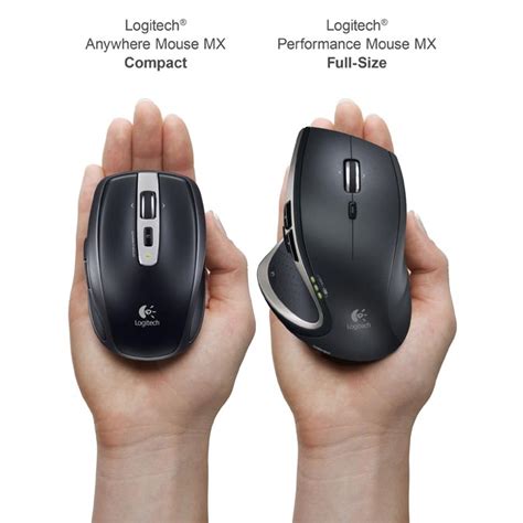 Mouse Size Comparisons